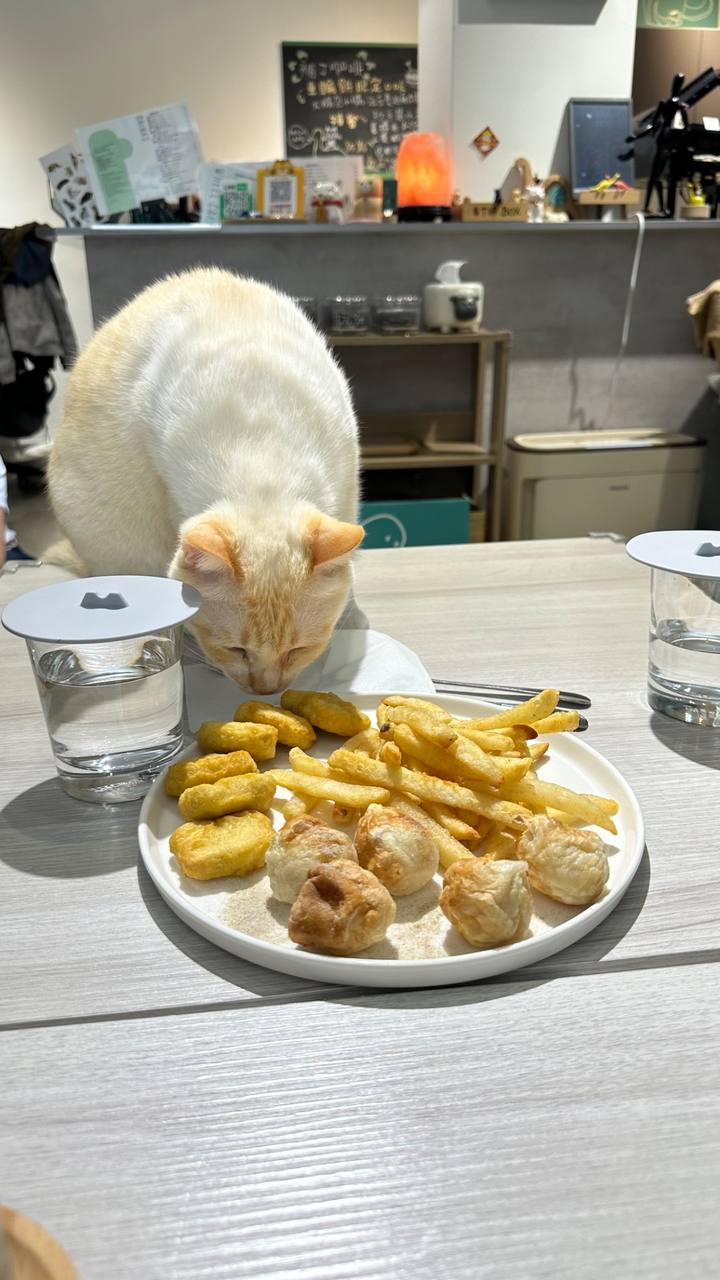 Patch Cafe 補丁咖啡 x 車輪餅 x 簡餐 x 氣炸小點 image 4